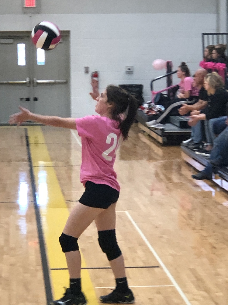 Pleasant Hope claims 4th place in the Pleasant Hope Dig Pink Volleyball Invitational today
