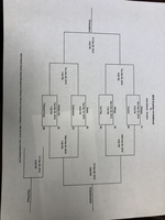 Girls Basketball in the Everton Tourney this week