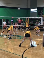 Pleasant Hope Volleyballers in action Tuesday, August 27th in Pierce City Jamboree.