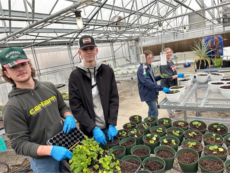 Horticulture students working hard in the greenhouse this week. 