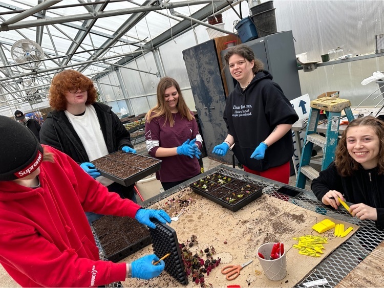 Horticulture students working hard in the greenhouse this week  