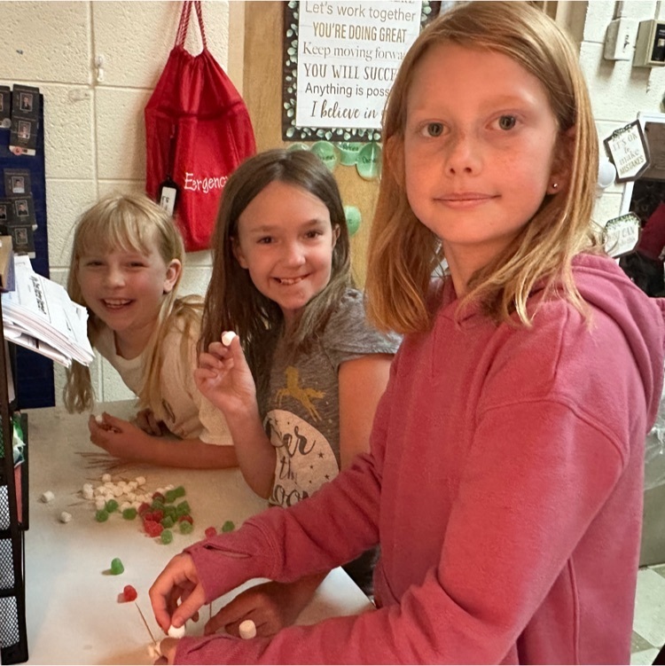 Mrs.McGrady’s third graders doing a STEM Bridge challenge!