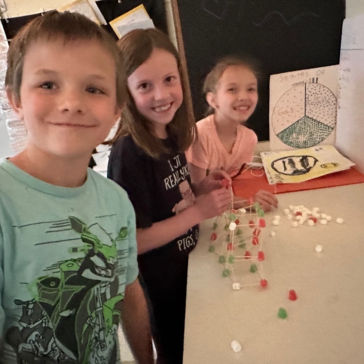 Mrs.McGrady’s third graders doing a STEM Bridge challenge!