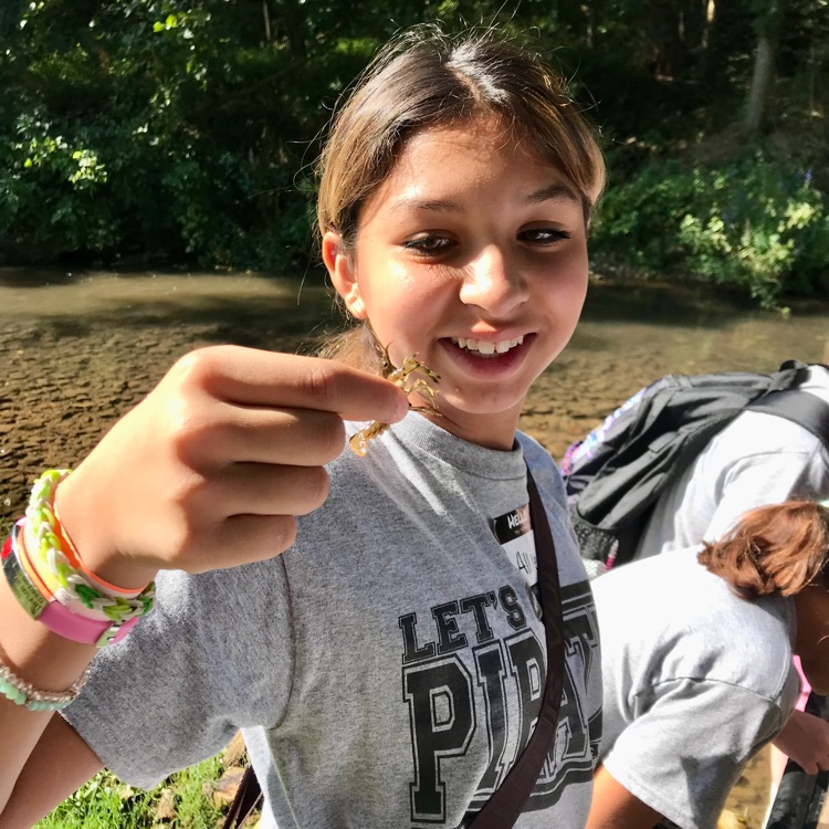 Fifth and sixth graders spend the day at Dogwood Canyon on Friday!  They enjoyed the treehouse, explored the museum, hiked a trail, and participated in an EdVenture where they used aquatic invertebrates to determine stream quality.