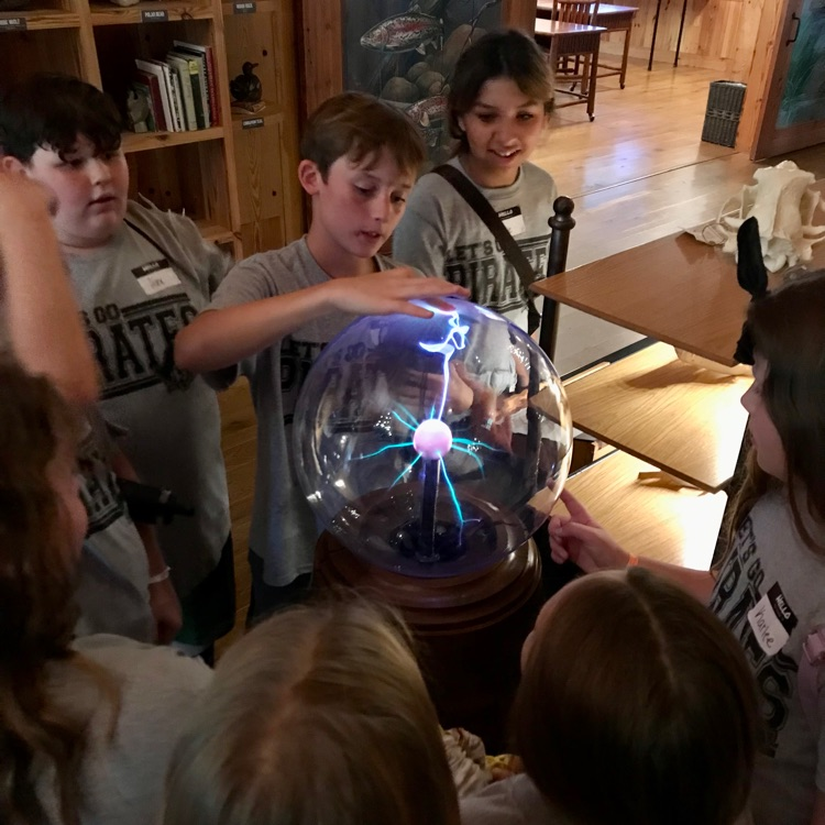 Fifth and sixth graders spend the day at Dogwood Canyon on Friday!  They enjoyed the treehouse, explored the museum, hiked a trail, and participated in an EdVenture where they used aquatic invertebrates to determine stream quality.